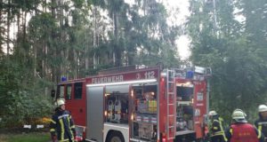 Fünf Feuerwehren übten in Lindhorst die Brandbekämpfung und den Aufbau einer Wasserversorgung. Foto: Freiwillige Feuerwehr Seevetal