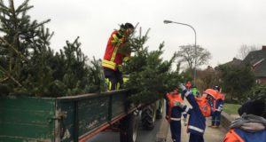 Die Jugendfeuerwehren sammeln Weihnachtsbäume ein. Foto: Freiwillige Feuerwehr Seevetal