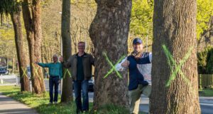 Über den Erhalt der Bäume freuen sich die Seevetaler Grünen Matthias Clausen, Gerd Otto Kruse und Alexander von Heydebreck - Foto Marlies Clausen