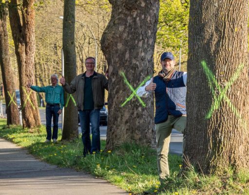 Über den Erhalt der Bäume freuen sich die Seevetaler Grünen Matthias Clausen, Gerd Otto Kruse und Alexander von Heydebreck - Foto Marlies Clausen