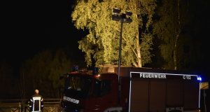 An der Luhe hat die Feuerwehr einen Bereich ausgeleuchtet und sucht nach der vermissten Person. Foto: Hamann