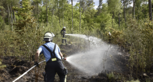 Einsatzkräfte der Feuerwehr bekämpfen den Waldbrand bei Stelle. Foto Hamann