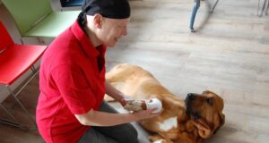 Im Kurs "Erste Hilfe am Hund" lernen Hundebesitzer, wie sie ihrem Vierbeiner im Notfall helfen können. Foto: Johanniter