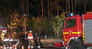 Rund 14 Stunden unterstützten die Einsatzkräfte der Feuerwehren aus dem Landkreis Harburg beim Waldbrand im Heidekreis. Foto: JOTO