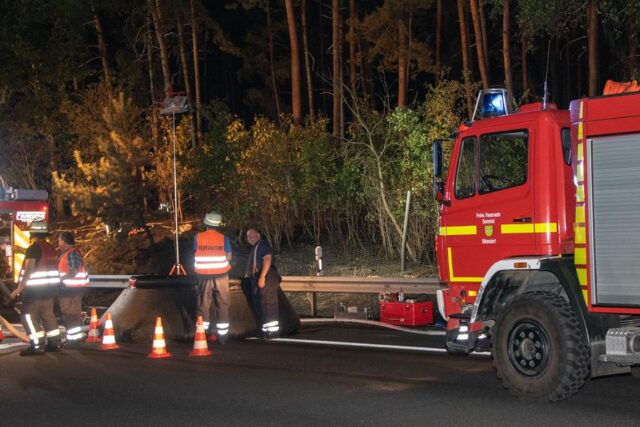 Rund 14 Stunden unterstützten die Einsatzkräfte der Feuerwehren aus dem Landkreis Harburg beim Waldbrand im Heidekreis. Foto: JOTO