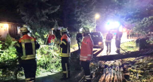 In Horst musste die Feuerwehr Maschen einen umgestürzten Baum beseitigen. Foto: Kreispressewart Feuerwehren Landkreis Harburg