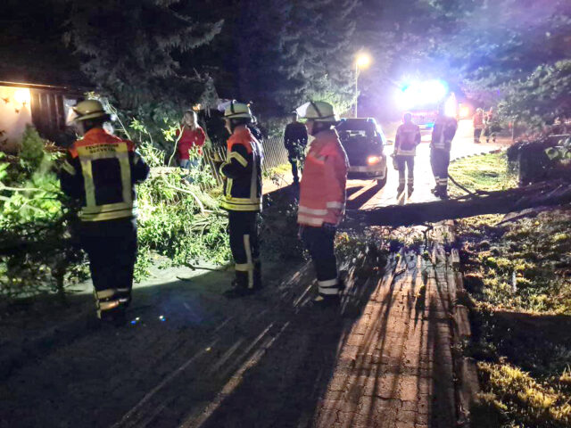 In Horst musste die Feuerwehr Maschen einen umgestürzten Baum beseitigen. Foto: Kreispressewart Feuerwehren Landkreis Harburg