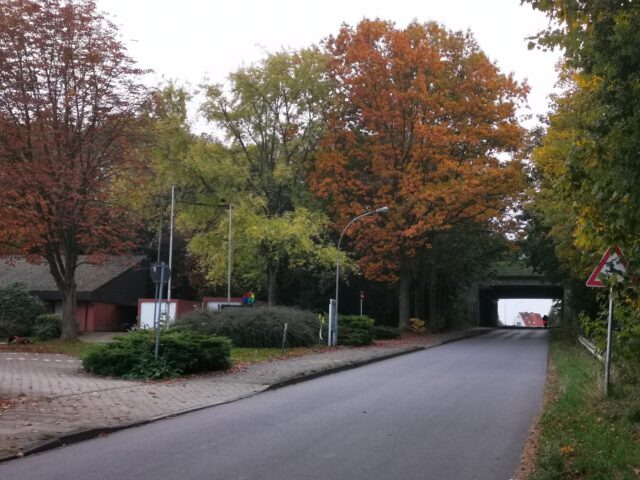 Für Bauarbeiten muss die Bürgermeister-Reichel-Straße in Fleestedt ab Montag, 26. Oktober voll gesperrt werden. Foto: Hamann
