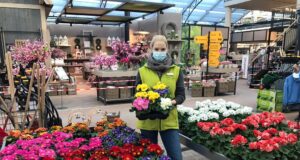 Anika Schmidt vom Gartencenter Matthies im bunten Blumenmeer. Foto: ein