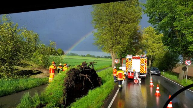 In Fleestedt musste die örtliche Feuerwehr einen umgestürzten Baum beseitigen, der auf einen Radweg gefallen war. Foto: Bamberger/Feldtmann, FF Seevetal