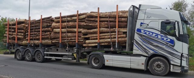Auch dieser Holztransporter wurde aus dem Verkehr gezogen. Foto: Polizei