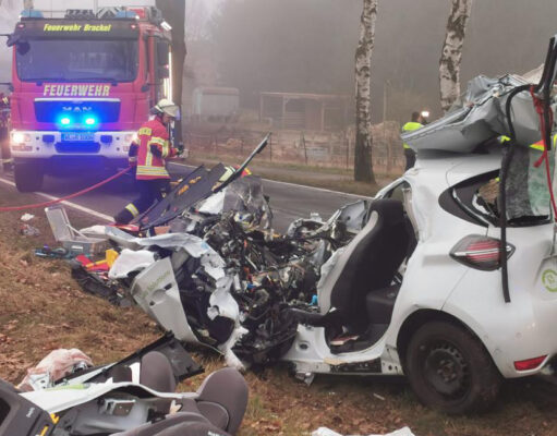 Der Fahrer dieses Renaults überlebte den Unfall nicht. Foto: ein