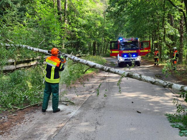 Im Fachenfelder Weg in Maschen stürzte eine Birke auf die Straße. Foto: Feuerwehr Maschen