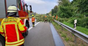 Die Feuerwehr Fleestedt beseitigte auf der A 7 diesen umgestürzten Baum. Foto: Timo Bamberger, FF Fleestedt