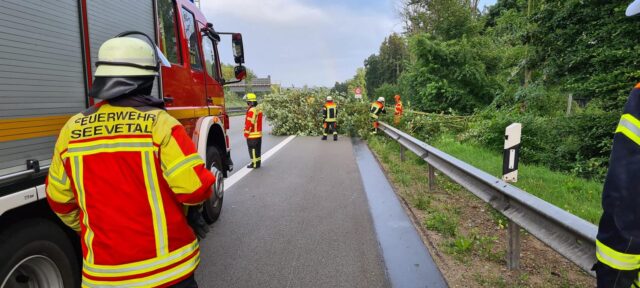 Die Feuerwehr Fleestedt beseitigte auf der A 7 diesen umgestürzten Baum. Foto: Timo Bamberger, FF Fleestedt