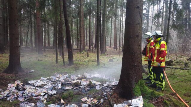 Die Zeitungen brannten in einem Waldstück am Fachenfelder Weg in Maschen. Foto: Sebastian Schulz