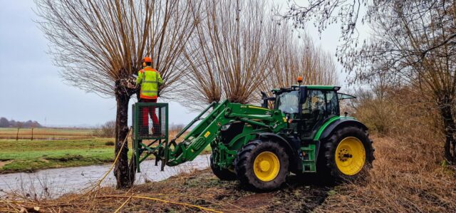 Vorsichtig werden große Baumweiden von oben nach unten zurückgeschnitten, um deren Lebensdauer zu verlängern. Foto: Landkreis Harburg