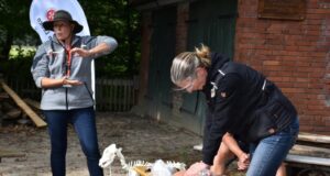 In dem Kurs der Johanniter lernen Hundebesitzer mithilfe einer Hundepuppe auch die Wiederbelebung ihres Vierbeiners. Foto: Johanniter.