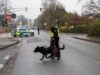 In der Glüsinger Straße in Meckelfeld verfolgten Polizisten mit einem Hund eine mögliche Spur. Foto: Joto