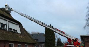 Mit Hilfe der Drehleiter der Feuerwehr Meckelfeld wurde das Storchennest renoviert. Foto: ein