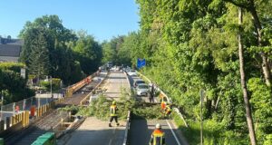 Die Feuerwehr beseitigte am Mittwochabend einen umgestürzten Baum in der Hittfelder Landstraße. Foto: FF Fleestedt