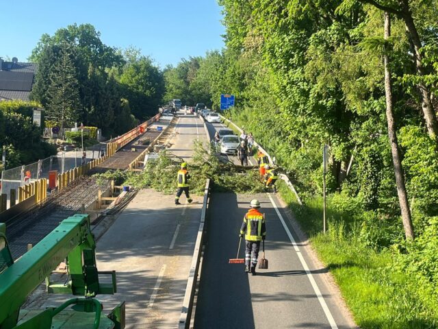 Die Feuerwehr beseitigte am Mittwochabend einen umgestürzten Baum in der Hittfelder Landstraße. Foto: FF Fleestedt