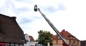 Mittels Drehleiter der Feuerwehr Meckelfeld wurde das Nest kontrolliert. Foto: Gemeinde Seevetal