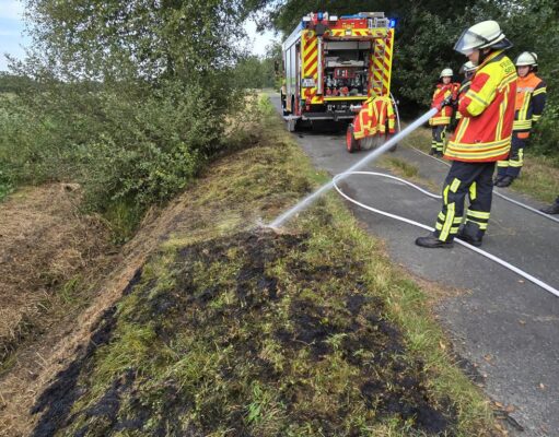 Die Feuerwehr Maschen löschte am Montagabend an der Winsener Landstraße einen Böschungsbrand ab. Foto: Pressestelle Feuerwehr Seevetal