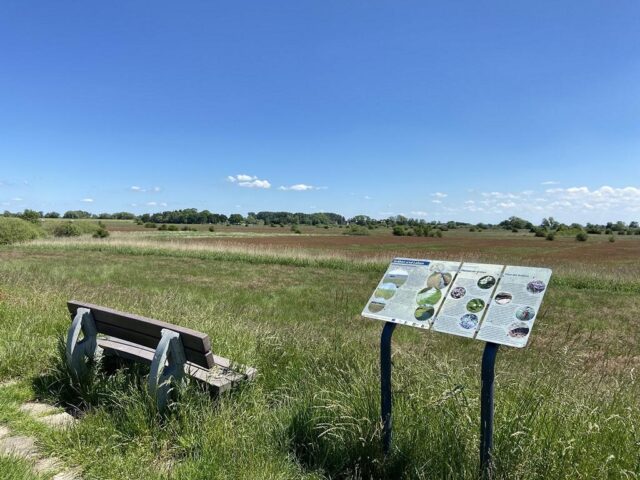 Eine Bank mit Weitsicht auf die schöne Landschaft in Seevetal. Foto: Gemeinde Seevetal